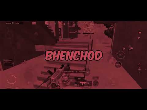 Solo chicken in Miramar!