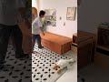 モジュールソファベッド｜自由に変わる、くつろぎ空間#sofabed #sofa #ソファベッド #shorts #cuumy