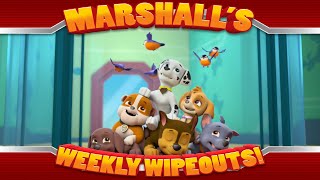 Marshalls Weekly Wipeouts Season 4 - Pups Save A Flying Kitty