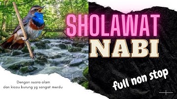 Sholawat Nabi populer full 3 jam non stop || Penyejuk hati || Bisikan penghantar tidur