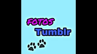 Imitando Fotos Tumblr De Cachorro