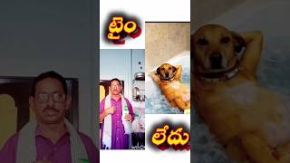 dog s reaction#🤣🤣camedy #entertainment #viral😃😺#shots #ytshorts#dogs#cat.