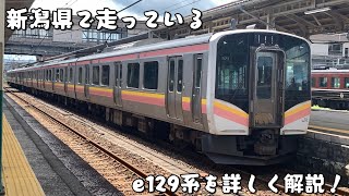 【解説】e129系を詳しく解説!
