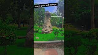 Chandigarh Japanese garden #shorts #travel ##nature #garden #trending #subscribe