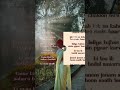old is gold 🎶🩵#songs #oldsong #old #ᶠʸᵖ #shortvideo #rilsfyp #reelsvideoシ #sabscribe .........🎧🫀💯