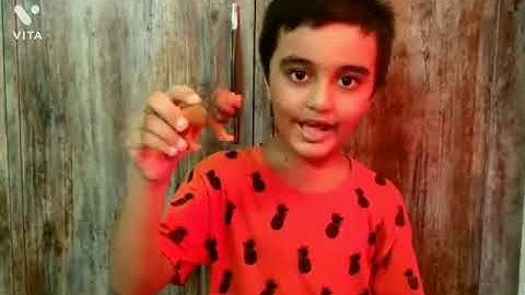 The Lion🦁 and The Mouse 🐭story in English#Asesh Satapathy#Moral Story with Prop and acting # story