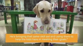 Facility Dog Dexter at Children's Memorial Hermann Hospital | Canine Companions