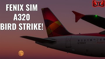 BIRD STRIKE IN THE FENIX SIMULATIONS A320 INTO SKIATHOS!