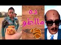ده مالطو سادات مصر 