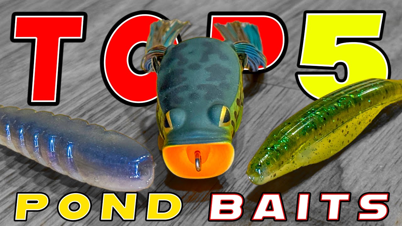 Top 5 Baits For Pond Fishing ( Bass Fishing )