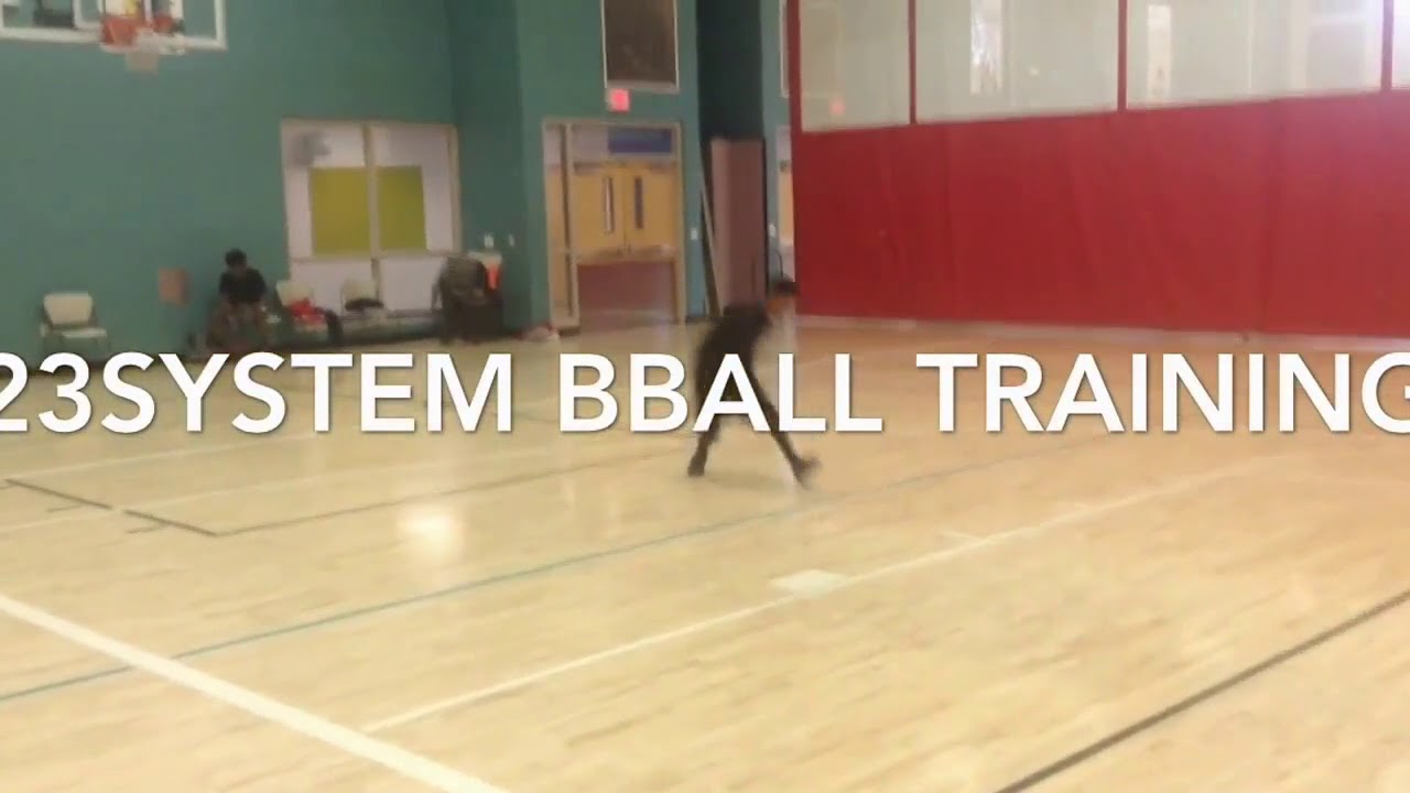 23system Professional Player development! 2015