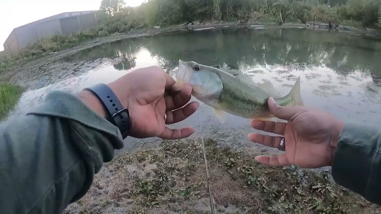 Bass Fishing October 2024 😇 HOLY BASS 😇