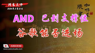 美股周末点评  个股分析 AMD GOOG  NVDA NVO TSLA 【视频第634期】 03/15/2024