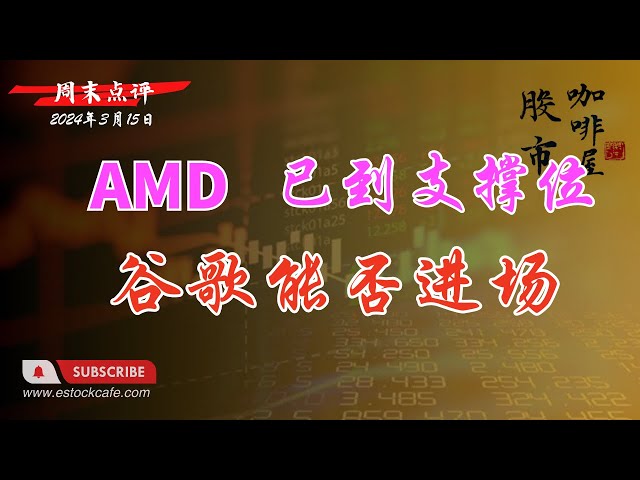 美股周末点评  个股分析 AMD GOOG  NVDA NVO TSLA 【视频第634期】 03/15/2024