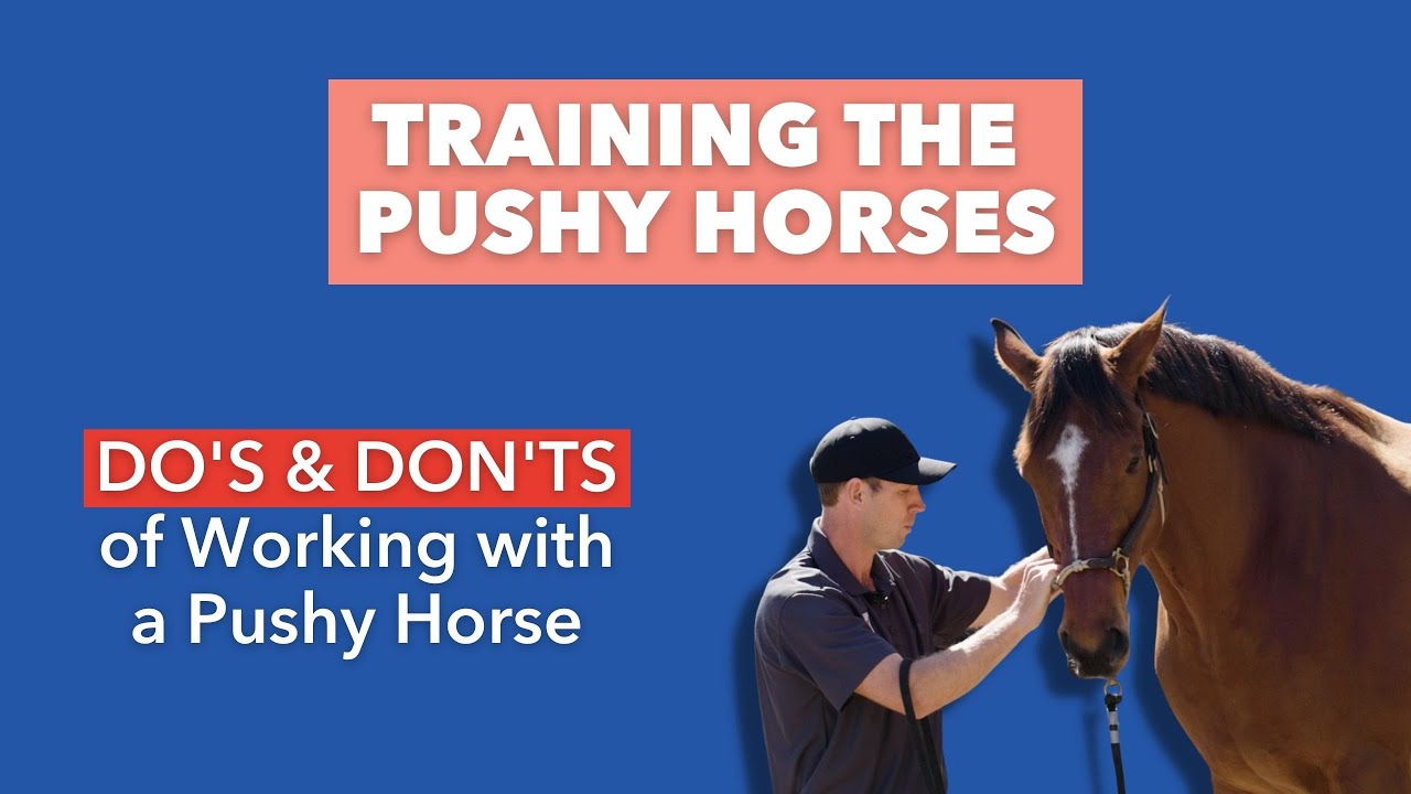 Training the Pushy Horse DO's and DON'TS YouTube