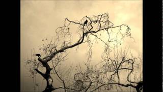 Eye of Solitude - One's Cold Lips