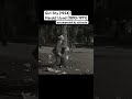 Girl Shy #silentfilm #stummfilm #無声映画 #lloyd #sailento #shorts #short #flattire #funny #comedy