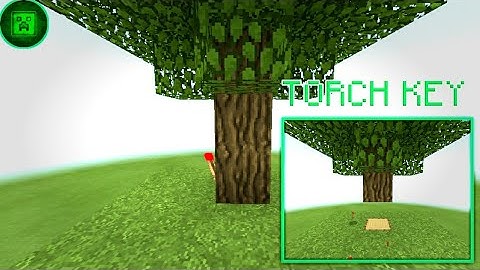 The Tree Torch key hidden input | TUTORIAL | Minecraft bedrock edition