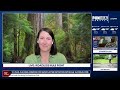 Fight brews over proposal to drop forest protections | FOX 13 Seattle