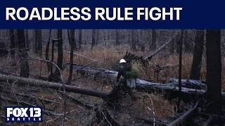 Fight brews over proposal to drop forest protections | FOX 13 Seattle
