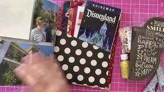 Disney album shaker