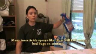 Spanish Bed Bug Training