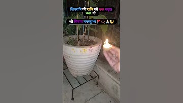 शिवरात्रि के दिन एक धतूरा रात 12 बजे चढ़ा देने से क्या होता है #trendingreels #pradeepmishraji