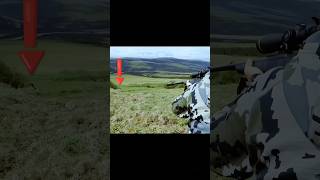 Too Close for Comfort  Bear Hunt Turns Intense!#BearHunting#CloseCallHunt#LetsHunt#grizzlybear#охота