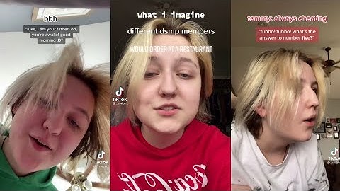 what i imagine different dsmp character