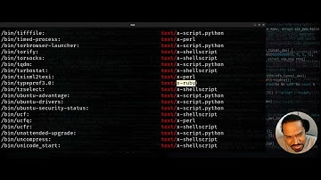 Linux command-line: Identify file types irrespective of filenames and extensions