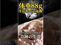 生存率1%の命、127時間の戦いと奇跡の生還 #野良猫の現実 #猫の親子