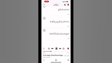 سورة النصر الشيخ سعد الغامدي