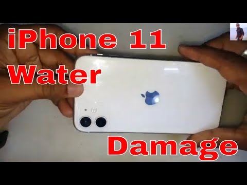 How to Fix iPhone 11 Water Damage Repair