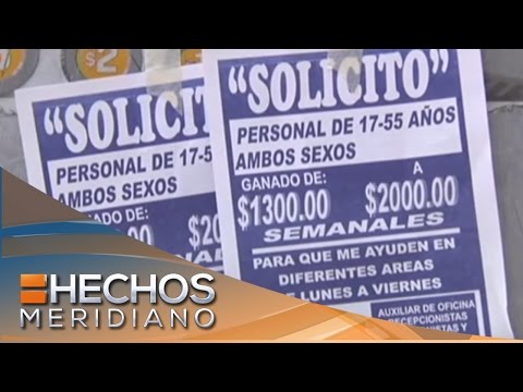 ¿Los Profesionales Del Empleo Exprés Son Una Estafa?