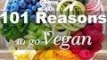 Video for redenen om vegan te worden/search?sca_esv=d310bf87f451f94c 100 reasons to go vegan