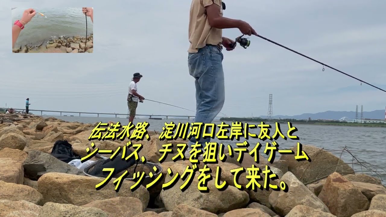 淀川河口デイゲーム シーバス チヌ狙い Youtube