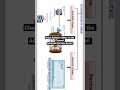 Truncated Cheque vs Electronic Cheque | Negotiable Instrument Act #exam #law