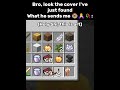 Minecraft DOOR cover 🥹