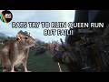 Rats fail to ruin my queen run!!!!