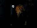 killing Legendary Lion in red dead redemption 2😱 #rdr2 #reddeadredemption2 #shorts