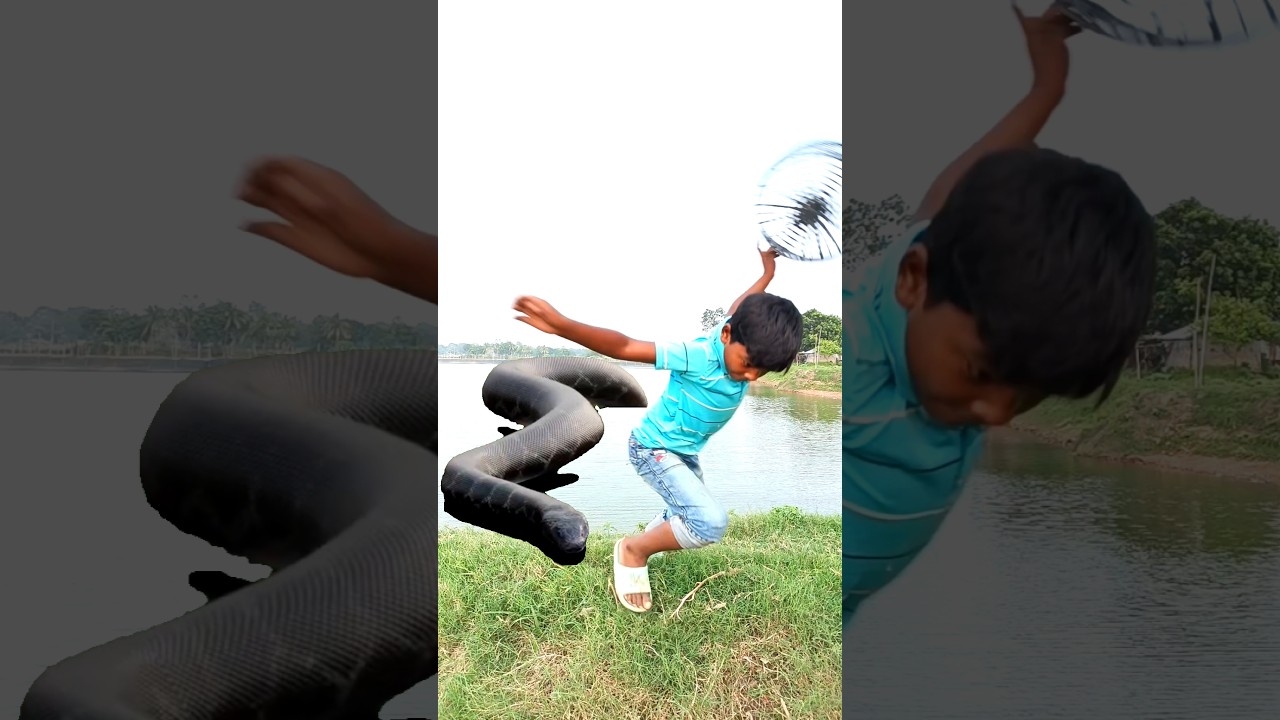 Anaconda Snake in real life P281