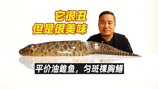 油錐鱼有点丑，但是很美味，价格也亲民，优秀海鲜匀斑裸胸鳝