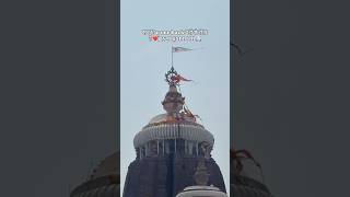 Jay Jagannath ❤️🙏🏻 #viral #jagannath #temple #india #explore