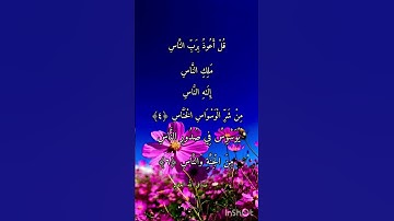 قل أعوذ برب الناس 💜💛حالات واتس اب قرآن كريم تلاوة بصوت جميل Quran Status 🌷 🌿