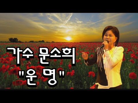 가수 문소희/운명