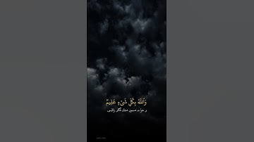 القرآن الكريم رعد الكردي ❤️#القرآن #تلاوةخاشعه #ارح #سمعك #رعد_الكردي #لايك #اكسبلور #quran