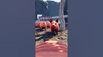 🐷 Making a VR Game - TRUE Pig Sim 2024 Reboot! #vrgaming  #devlog #shorts May 22, 2024