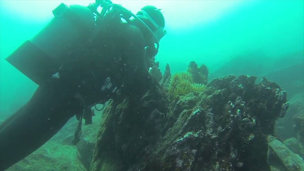 伊豆川奈ビーチダイビング