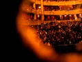 Peekaboo at the palais garnier opera in paris