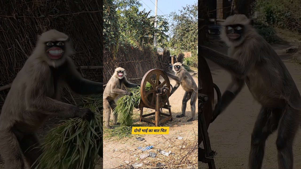 दोनों भाई का बात चित 